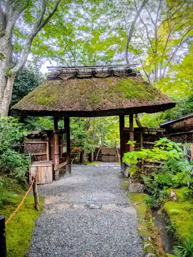 祇王寺の{uncategorized: "未分類", other: "その他", undefined: "問題あり", building: "その他建物", grave: "お墓", sacred_gate: "鳥居", guardian: "狛犬", statue: "像", buddha: "仏像", history: "歴史", nature: "自然", garden: "庭園", animal: "動物", pagoda: "塔", temizu: "手水舎", mountain_gate: "山門・神門", sanctuary: "本殿・本堂", subordinate: "末社・摂社", art: "芸術", scenery: "景色", jizo: "地蔵", ema: "絵馬", goshuin: "御朱印", omikuji: "おみくじ", items: "授与品その他", amulet: "お守り", goshuincho: "御朱印帳", eats: "食事", festival: "お祭り", votive_dance: "神楽", shichigosan: "七五三参", wedding: "結婚式", experience: "体験その他", initially: "初詣", around: "周辺", anti_infection: "感染症対策"}