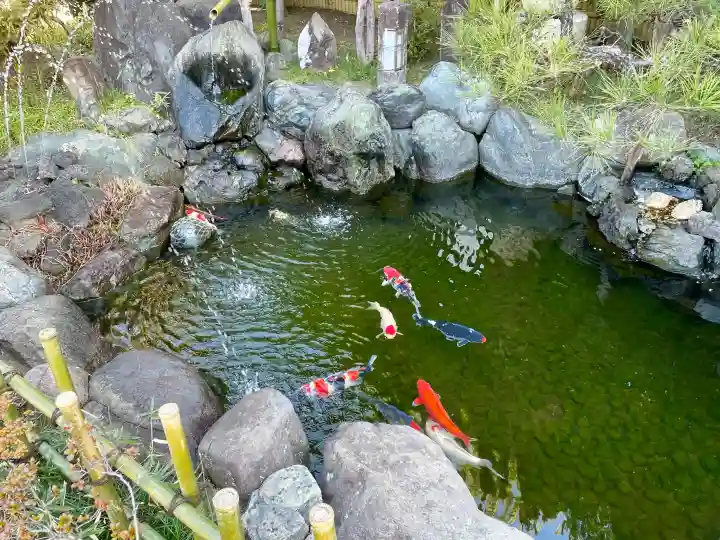 常性寺の{uncategorized: "未分類", other: "その他", undefined: "問題あり", building: "その他建物", grave: "お墓", sacred_gate: "鳥居", guardian: "狛犬", statue: "像", buddha: "仏像", history: "歴史", nature: "自然", garden: "庭園", animal: "動物", pagoda: "塔", temizu: "手水舎", mountain_gate: "山門・神門", sanctuary: "本殿・本堂", subordinate: "末社・摂社", art: "芸術", scenery: "景色", jizo: "地蔵", ema: "絵馬", goshuin: "御朱印", omikuji: "おみくじ", items: "授与品その他", amulet: "お守り", goshuincho: "御朱印帳", eats: "食事", festival: "お祭り", votive_dance: "神楽", shichigosan: "七五三参", wedding: "結婚式", experience: "体験その他", initially: "初詣", around: "周辺", anti_infection: "感染症対策"}