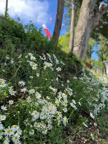 長屋神社(福島県)