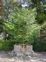 波瀬神社(三重県)