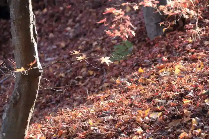 三春大神宮の自然