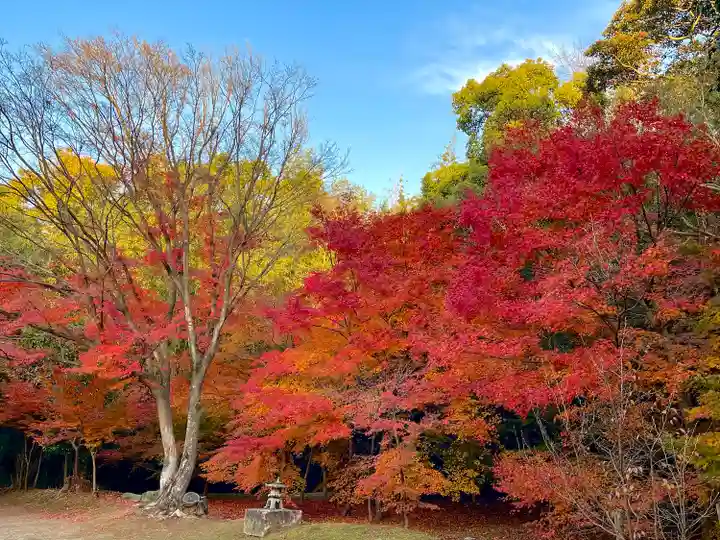 円光寺(三重県)
