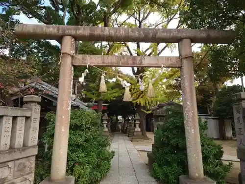 今井神社の鳥居