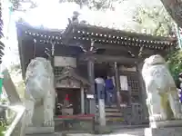 星井寺(虚空蔵堂)の狛犬