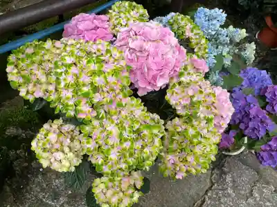 長谷寺(奈良県)