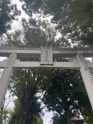 八幡大神社の鳥居