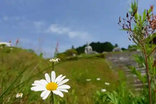 南法華寺（壷阪寺）の自然