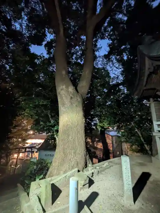 那珂八幡宮(福岡県)