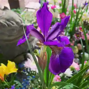 滑川神社 - 仕事と子どもの守り神の手水舎(2021年05月25日(火) 17時43分46秒投稿)