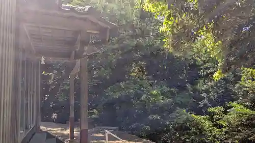 黒島神社の自然