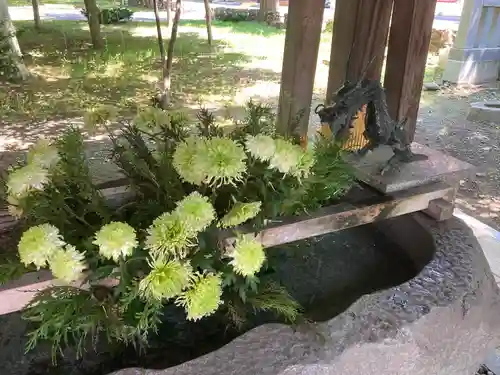 彌彦神社　(伊夜日子神社)の手水