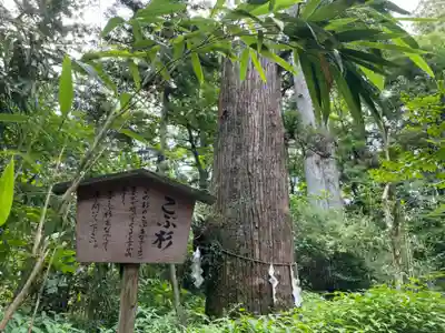 本宮神社（日光二荒山神社別宮）(栃木県)