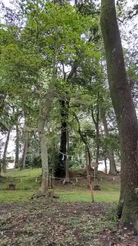 賀茂神社の自然