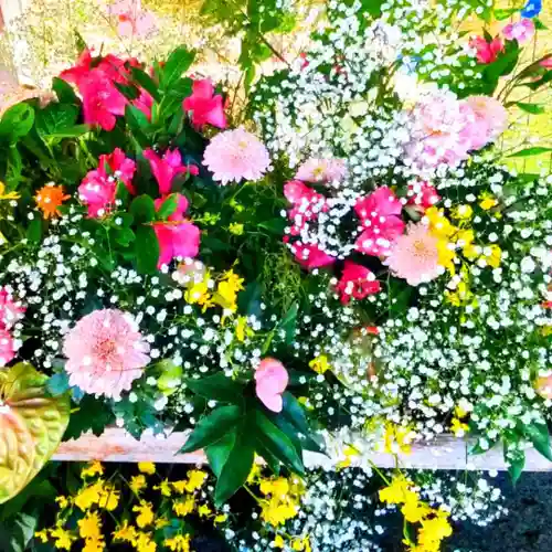 彌彦神社　(伊夜日子神社)の手水舎