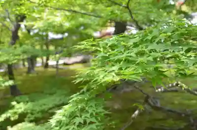 東福禅寺(東福寺)(京都府)