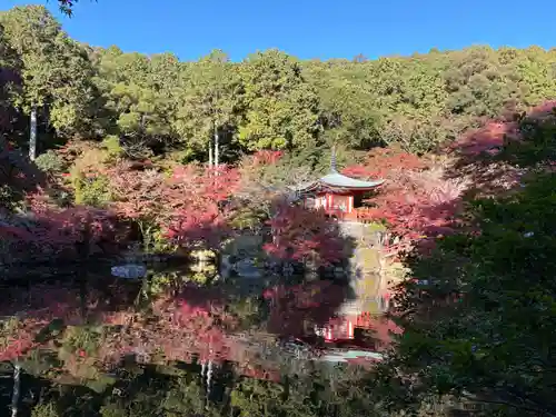 醍醐寺(京都府)