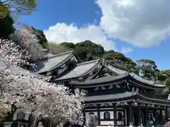 長谷寺(神奈川県)