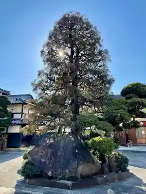 玉蔵院(埼玉県)