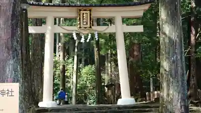 飛瀧神社(熊野那智大社別宮)の鳥居
