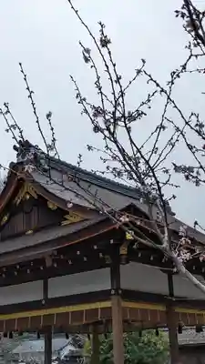 平野神社(京都府)