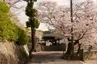 常信寺(愛媛県)