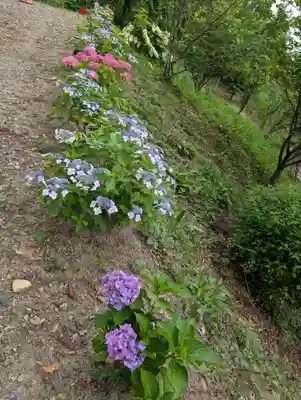 阿久津「田村神社」（郡山市阿久津町）旧社名：伊豆箱根三嶋三社(福島県)