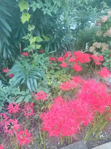 福寿院(東京都)