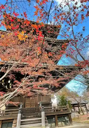 真正極楽寺（真如堂）の塔