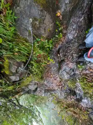 戸隠神社奥社の自然