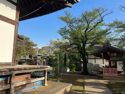 金蔵寺のその他建物