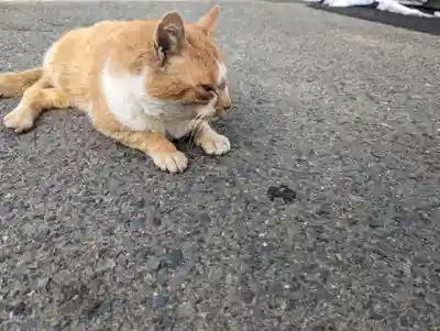 早池峯神社(岩手県)
