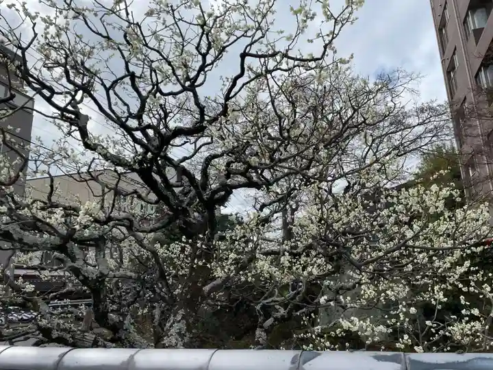 三国稲荷大明神(京都府)