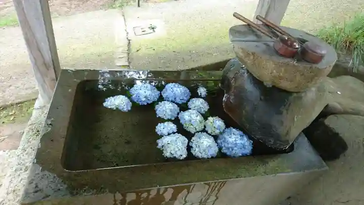 定泉寺の手水舎