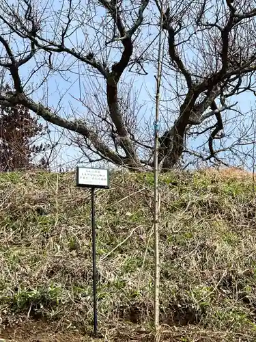 国宝 大法寺(長野県)