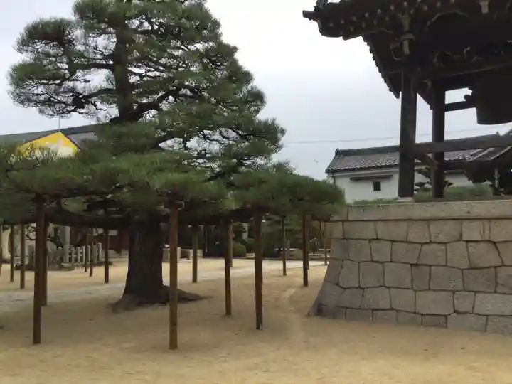 本福寺(滋賀県)