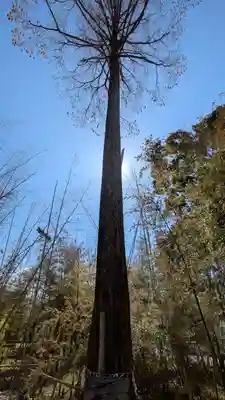 蛭子島神社(京都府)