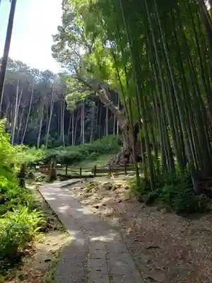 武雄神社(佐賀県)