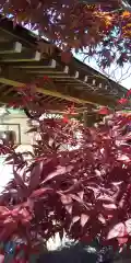 大鏑神社の自然