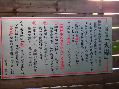 鎮守氷川神社の歴史