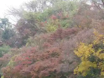 東勝寺跡の自然