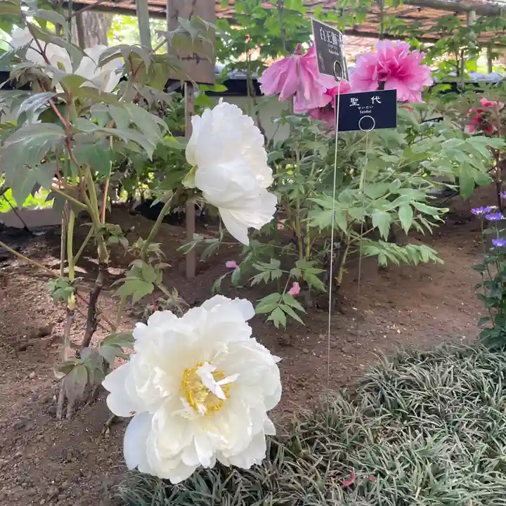 上野東照宮(東京都)