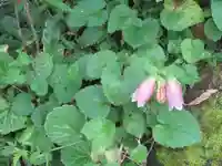 子之神社(子ノ神社)の自然