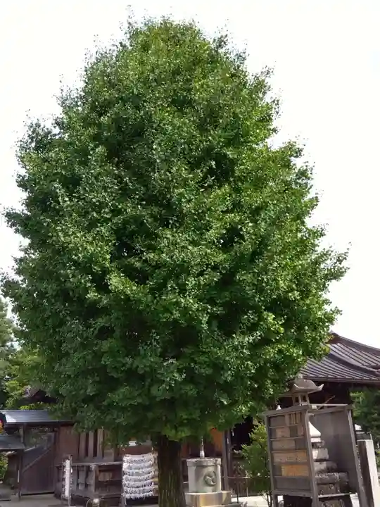 神明宮(栃木県)