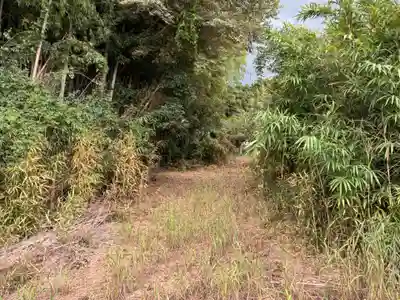 権現神社(千葉県)