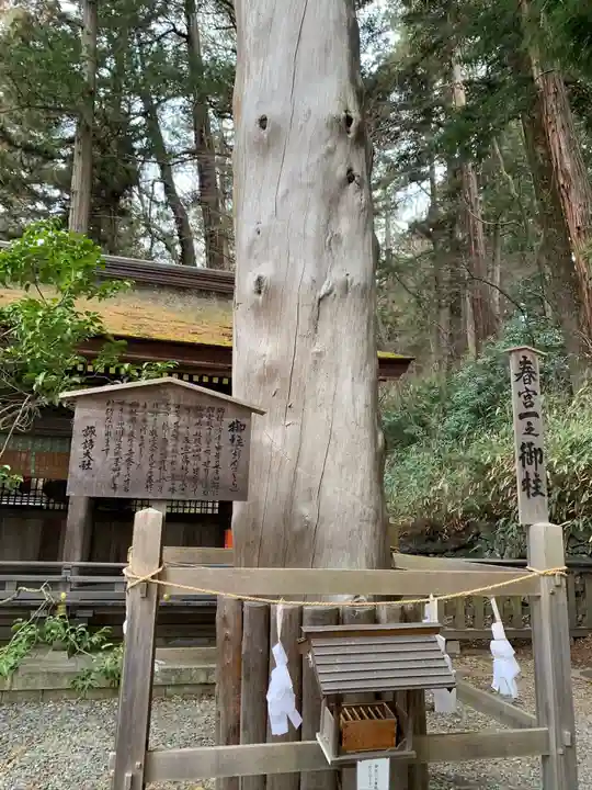 諏訪大社下社春宮のその他建物