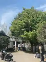 東峰神社(千葉県)