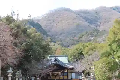 皇后八幡神社の自然