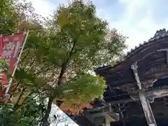 圓教寺(兵庫県)