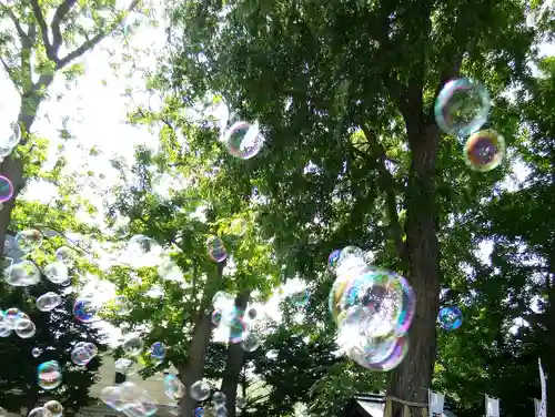 札幌諏訪神社の庭園