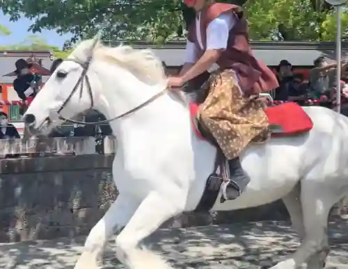 富士山本宮浅間大社の{uncategorized: "未分類", other: "その他", undefined: "問題あり", building: "その他建物", grave: "お墓", sacred_gate: "鳥居", guardian: "狛犬", statue: "像", buddha: "仏像", history: "歴史", nature: "自然", garden: "庭園", animal: "動物", pagoda: "塔", temizu: "手水舎", mountain_gate: "山門・神門", sanctuary: "本殿・本堂", subordinate: "末社・摂社", art: "芸術", scenery: "景色", jizo: "地蔵", ema: "絵馬", goshuin: "御朱印", omikuji: "おみくじ", items: "授与品その他", amulet: "お守り", goshuincho: "御朱印帳", eats: "食事", festival: "お祭り", votive_dance: "神楽", shichigosan: "七五三参", wedding: "結婚式", experience: "体験その他", initially: "初詣", around: "周辺", anti_infection: "感染症対策"}